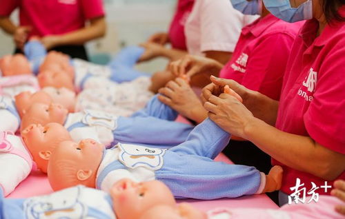 一次性補助15萬，中山大力扶持家政服務培訓基地建設