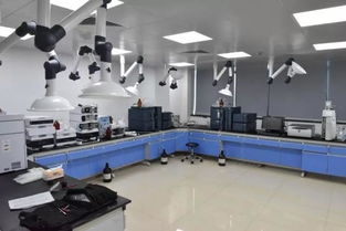 號外！玉環市食品藥品檢驗檢測中心搬家啦，家政服務同步煥新