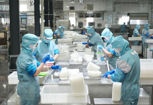 樂(lè)陵 小魔芋撬動(dòng)大市場(chǎng)，小食品生產(chǎn)線展現(xiàn)產(chǎn)業(yè)新活力